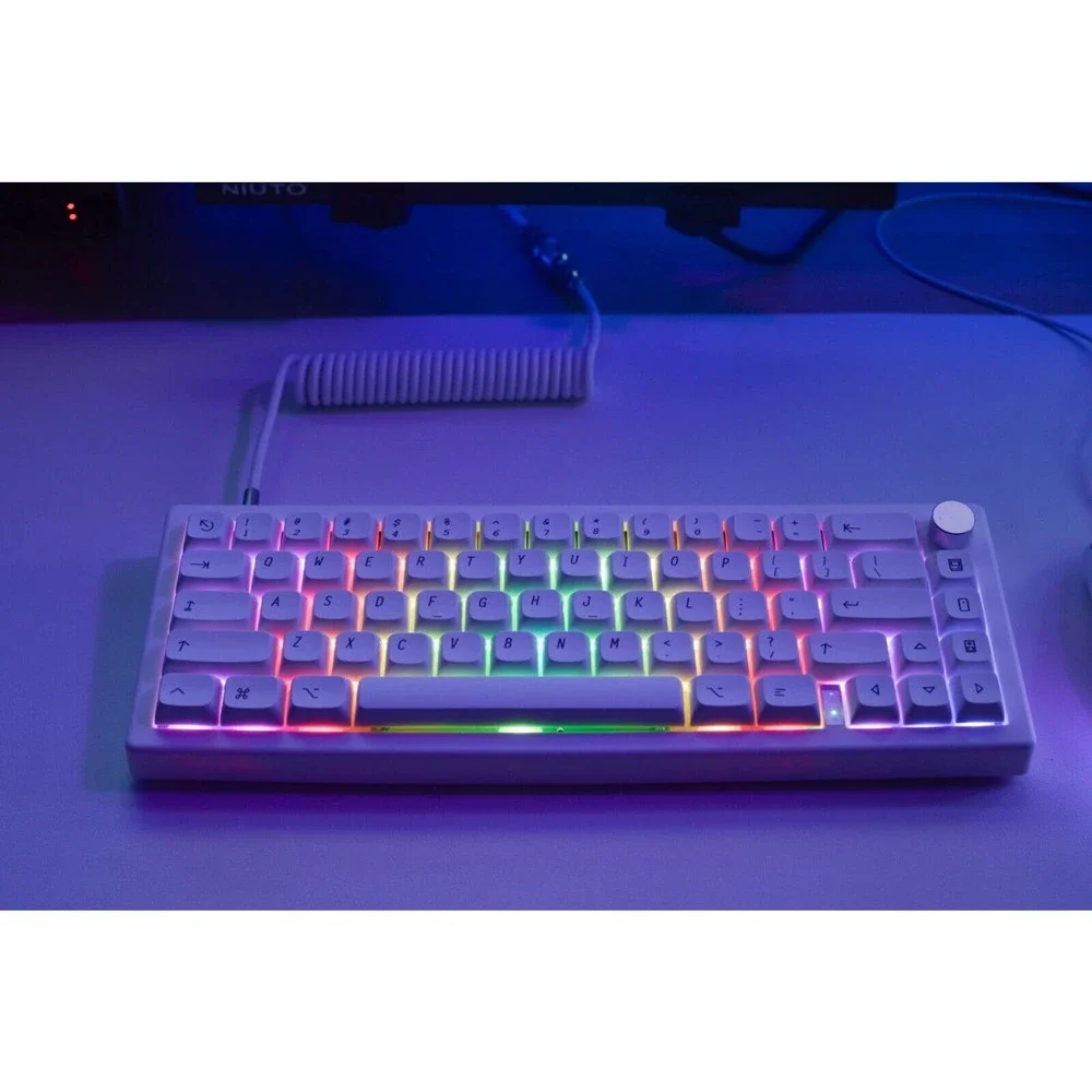 Custom modded mechanical keyboard GMK67 65% Lubed Switches thocky hot-swap RGB - Picture 7 of 10